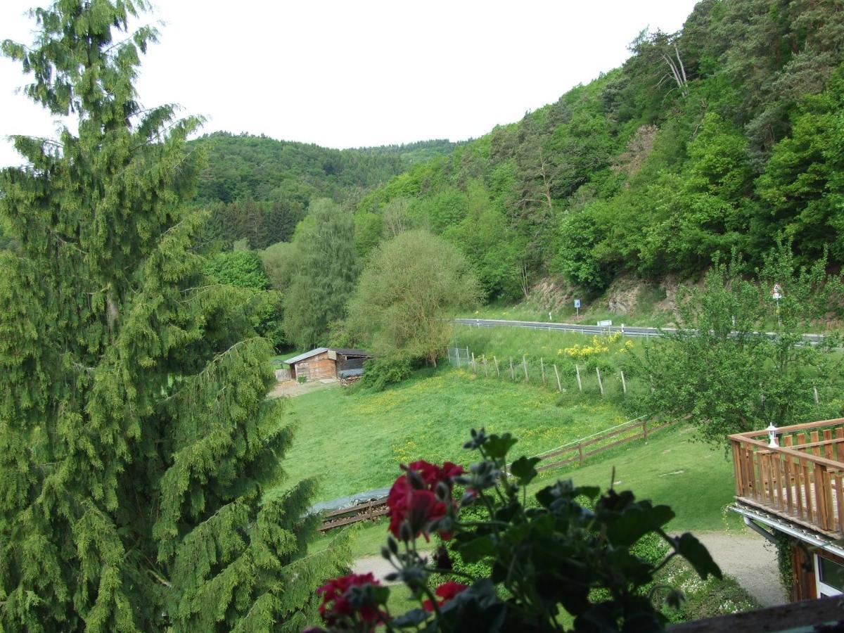 Hotel Forsthaus Volkesfeld Zewnętrze zdjęcie