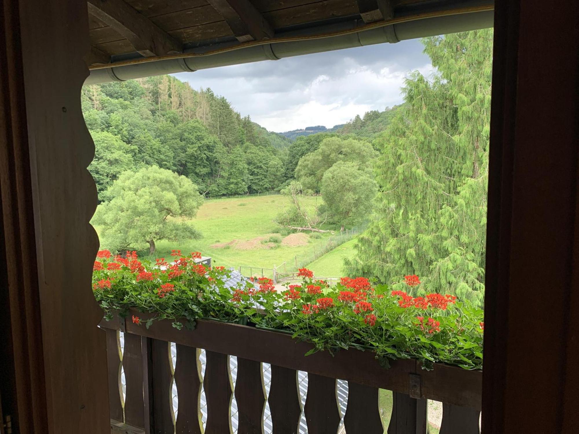 Hotel Forsthaus Volkesfeld Pokój zdjęcie