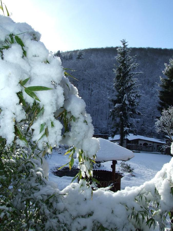 Hotel Forsthaus Volkesfeld Zewnętrze zdjęcie
